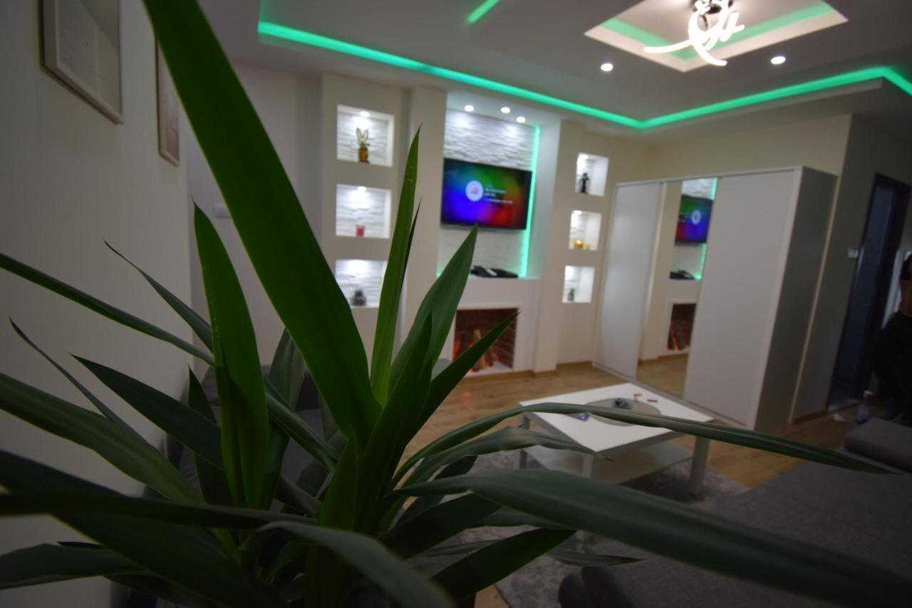 Apartments Wolf Belgrado Esterno foto